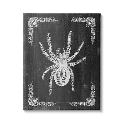 Stupell Industries Black & White Spider Canvas Wall Art