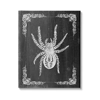 Stupell Industries Black & White Spider Canvas Wall Art