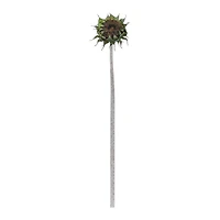 23.75" Brown Sunflower Stem, 6ct.