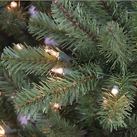 12ft. Pre-Lit Berkshire Fir Artificial Christmas Tree, Clear Lights