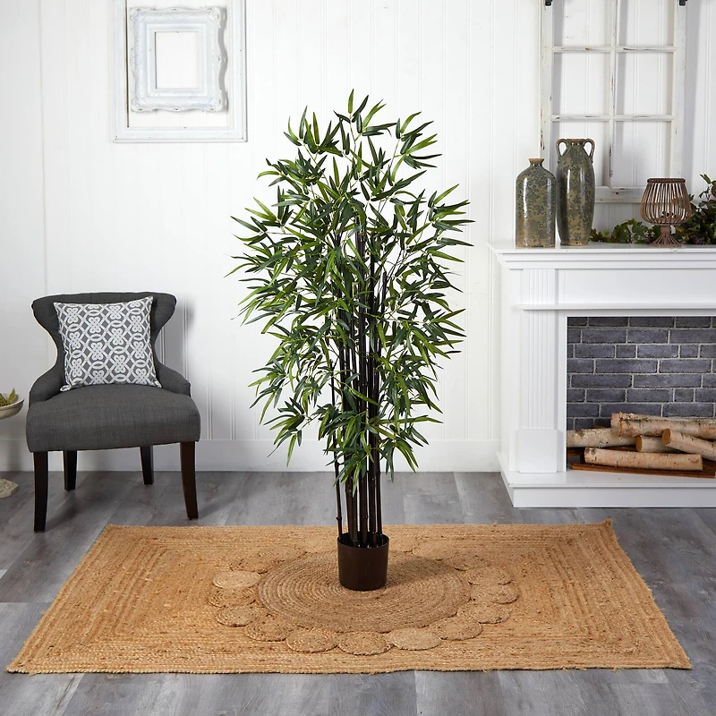 5ft. Potted Black Bamboo Tree