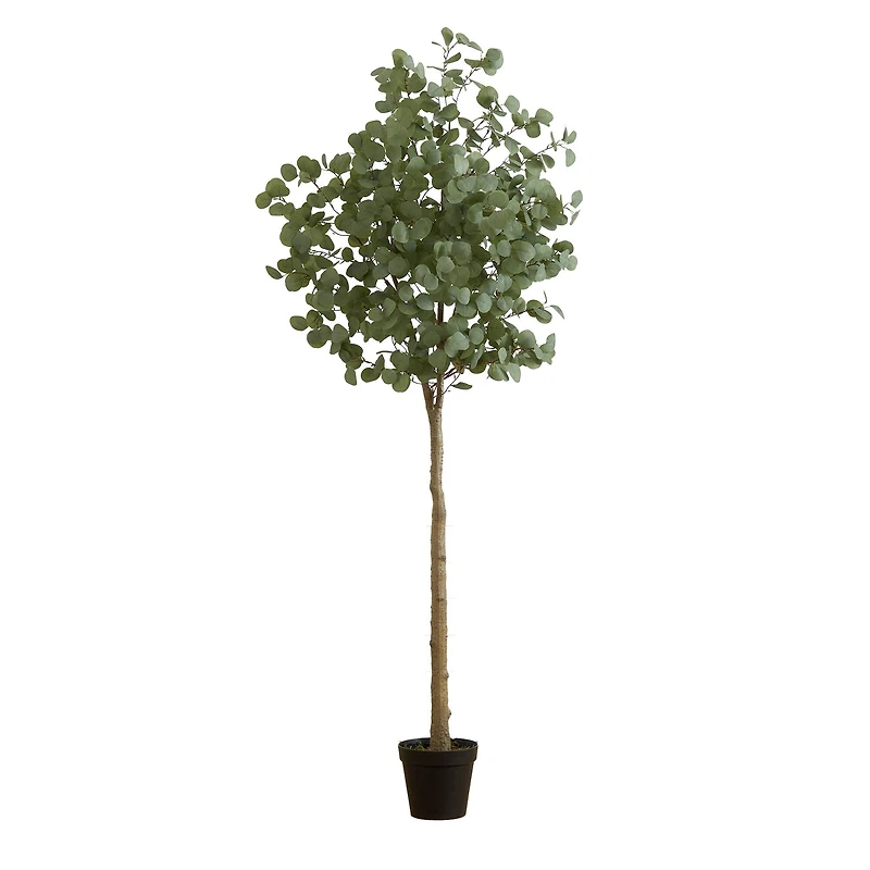 7ft. Potted Artificial Eucalyptus Tree
