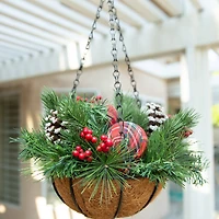 Flora Bunda® 12" Christmas Hanging Basket