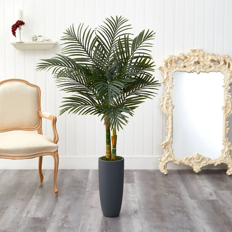 4.8ft. Golden Cane Palm Tree in Tall Gray Planter