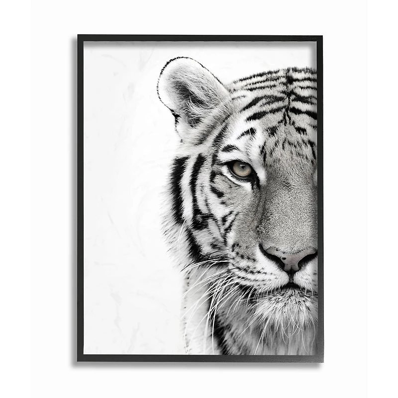 Stupell Industries Black & White Tiger Photography Framed Wall Art