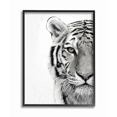 Stupell Industries Black & White Tiger Photography Framed Wall Art