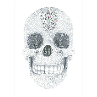 Diamond Dotz® Crystal Skull Diamond Painting Kit