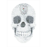Diamond Dotz® Crystal Skull Diamond Painting Kit