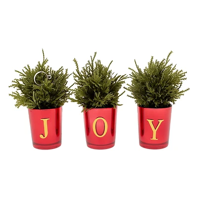 8" Christmas Joy Tabletop Votive Card Holder Set