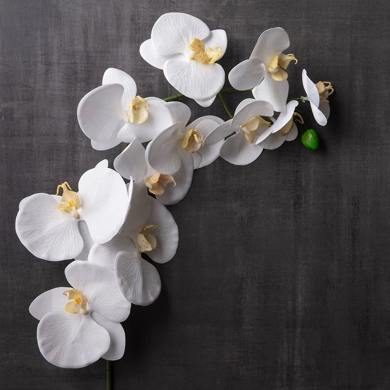 12 Pack: White Orchid Stem by Ashland®
