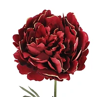 29" Burgundy Peony with Gold Glitter Stem by Ashland®