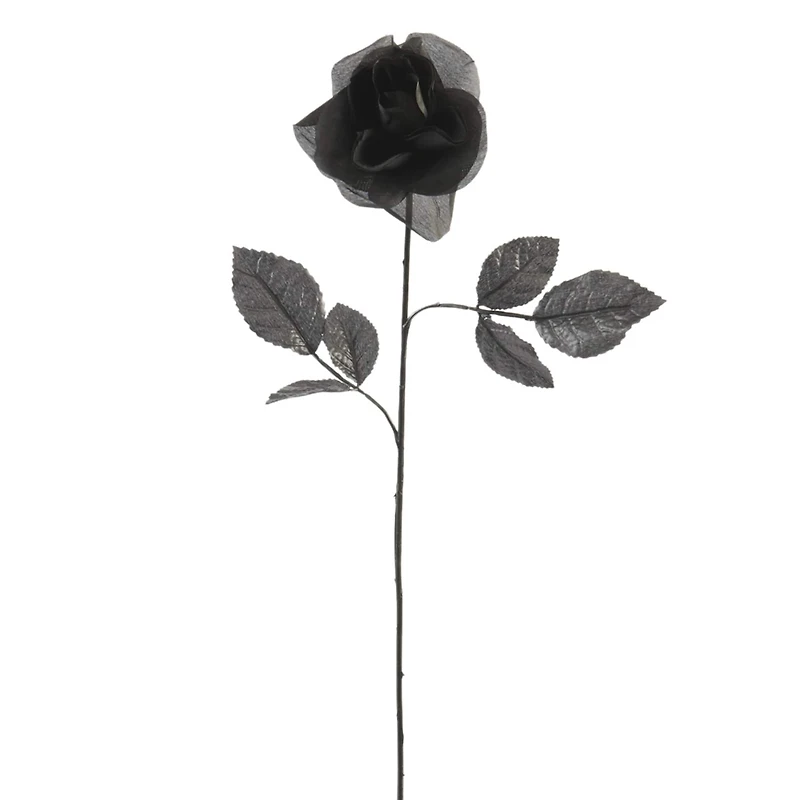 12 Pack: Black Open Rose Stem by Ashland™