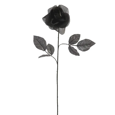 12 Pack: Black Open Rose Stem by Ashland™
