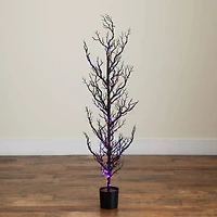 4ft. Pre-Lit Artificial Halloween Black Spooky Twig Tree with 160 Orange & Purple Copper Wire String LED Lights