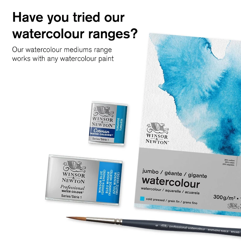 6 Pack: Winsor & Newton™ Gum Arabic Watercolor Medium, 75mL