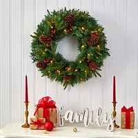 24" Clear LED Mixed Pine & Berries Christmas Wreath
