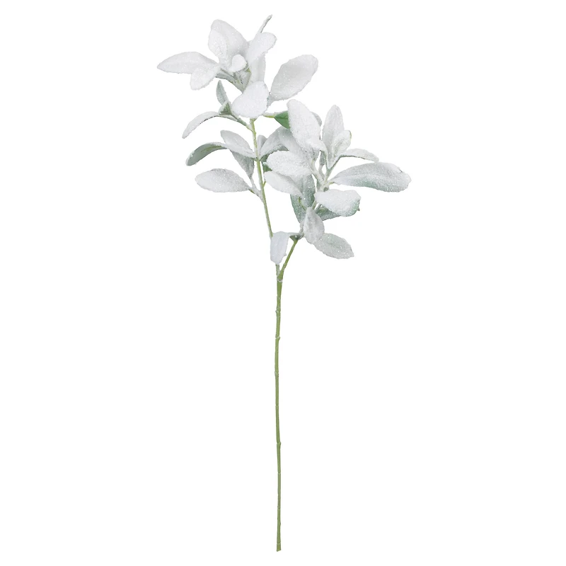 28" Snowy Lamb's Ear Stem by Ashland®