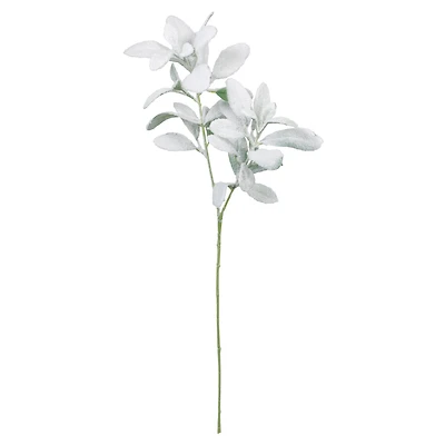 28" Snowy Lamb's Ear Stem by Ashland®