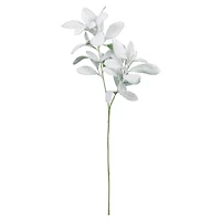 28" Snowy Lamb's Ear Stem by Ashland®