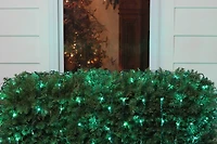 4ft. x 6ft. LED Wide Angle Net Style Christmas Lights
