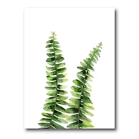 Designart - Fern Plant In Greenbotanical Detail