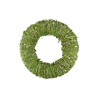 15" Spring Green Moss and Vine Wreath