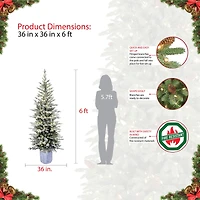 6ft. Pre-Lit Flocked Arctic Fir Pencil Artificial Christmas Tree, Warm White LED Lights
