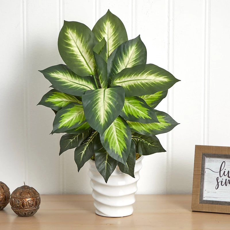 22" Potted Dieffenbachia in White Decorative Planter