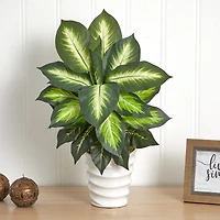 22" Potted Dieffenbachia in White Decorative Planter