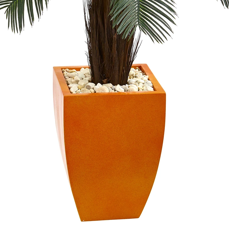 4.5ft. Cycas Tree in Orange Planter