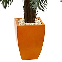 4.5ft. Cycas Tree in Orange Planter