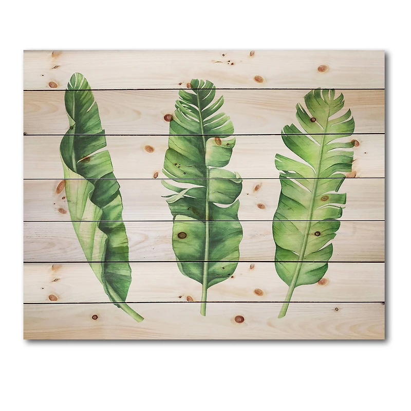 Designart - Tropical Banana Leaves Set