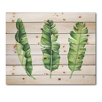 Designart - Tropical Banana Leaves Set