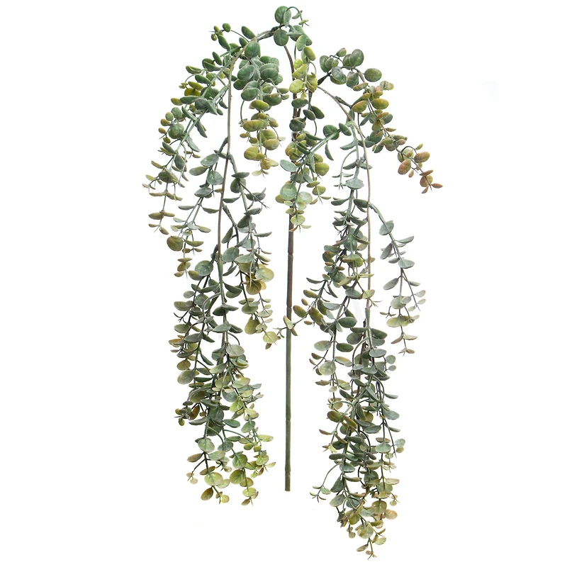 22" Hanging Eucalyptus Stem by Ashland®