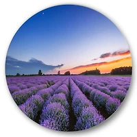Designart - Sunrise & Dramatic Clouds Over Lavender Field I