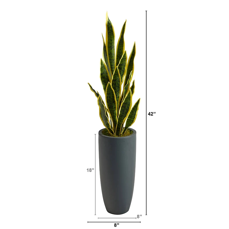 3.5ft. Snake Plant in Decorative Gray Planter