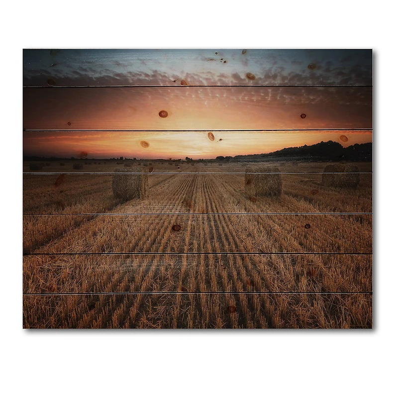 Designart - Landscape With A Field Full of Hay Bales At Sunset - Farmhouse Print on Natural Pine Wood