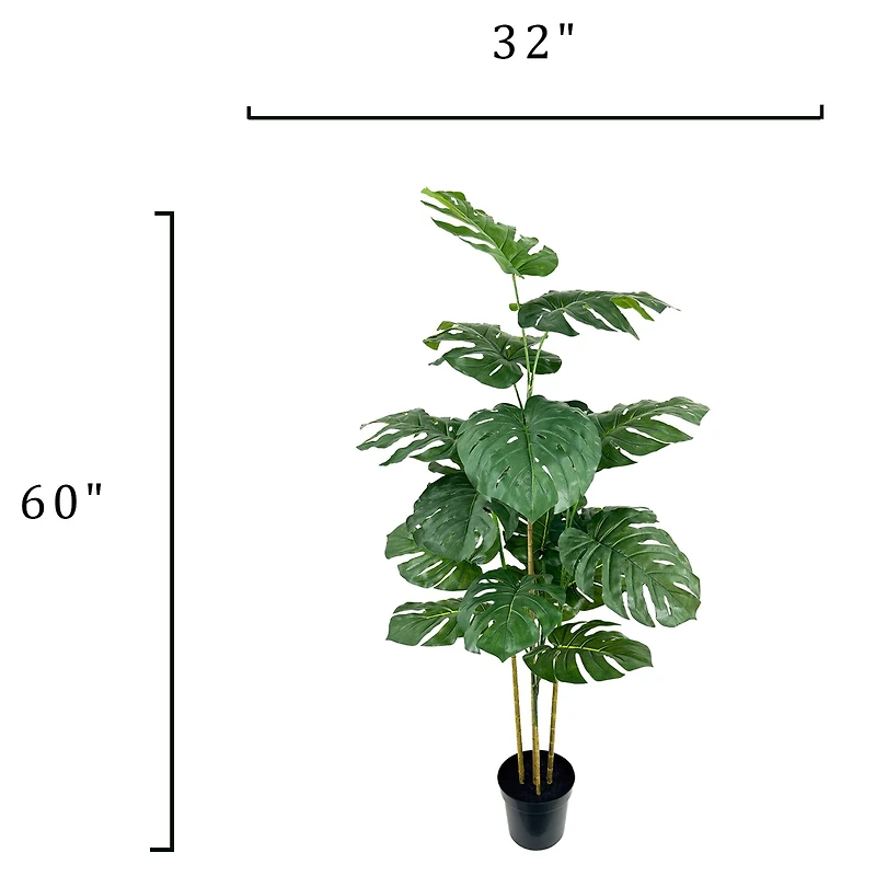5ft. Potted Monstera Deliciosa Tree by Ashland®