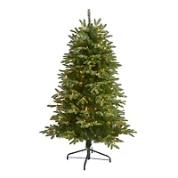 5ft. Pre-Lit Grand Teton Artificial Christmas Tree, Clear LED Lights