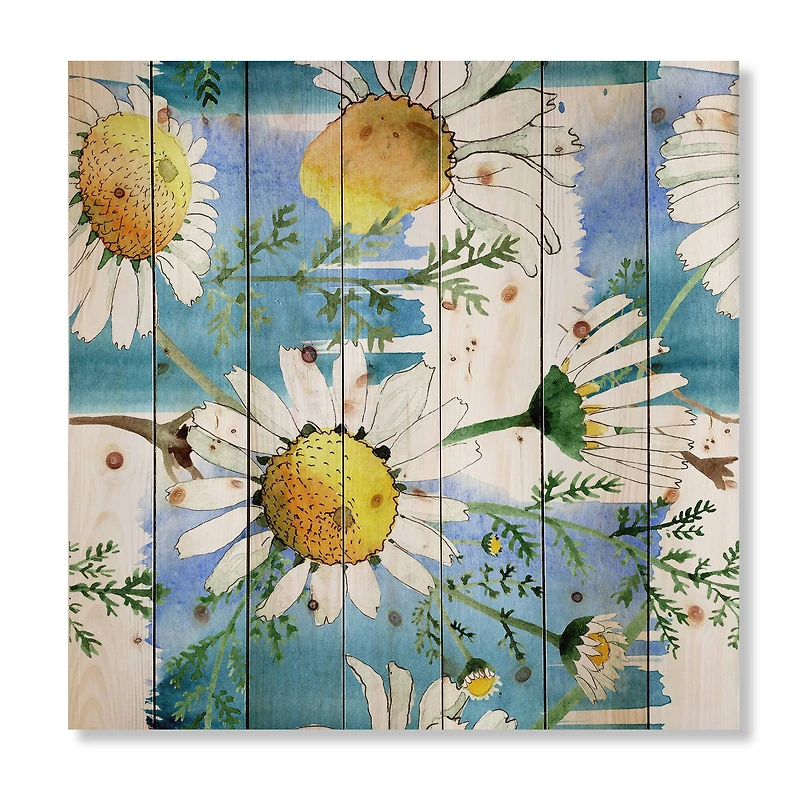 Designart - Wild Spring Chamomile Flowers