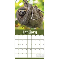 TF Publishing 2024 Sloths Wall Calendar