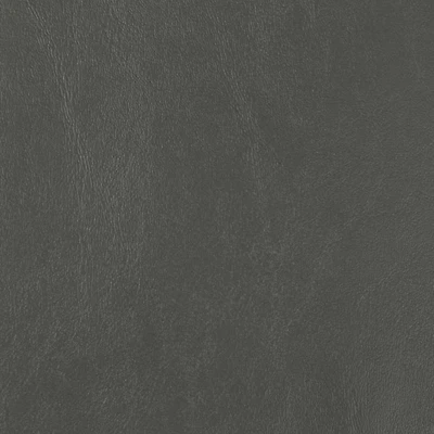 Seaquest Anchor Gray Vinyl