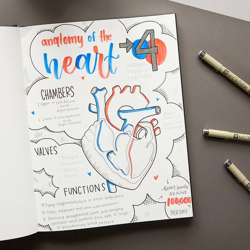 Micron® Brush™ Gray Pen Set