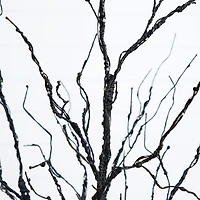 4ft. Pre-Lit Halloween Black Twig Artificial Tree with 180 Orange & Purple LED Lights