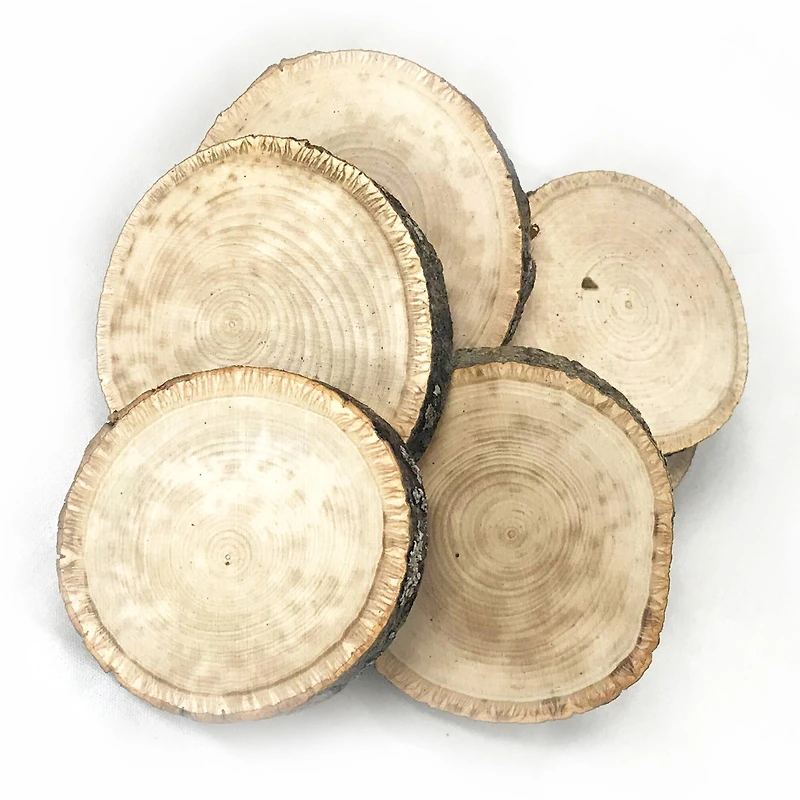Wilson® Enterprises Small Basswood Ornament Seconds, 50ct.