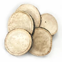 Wilson® Enterprises Small Basswood Ornament Seconds, 50ct.