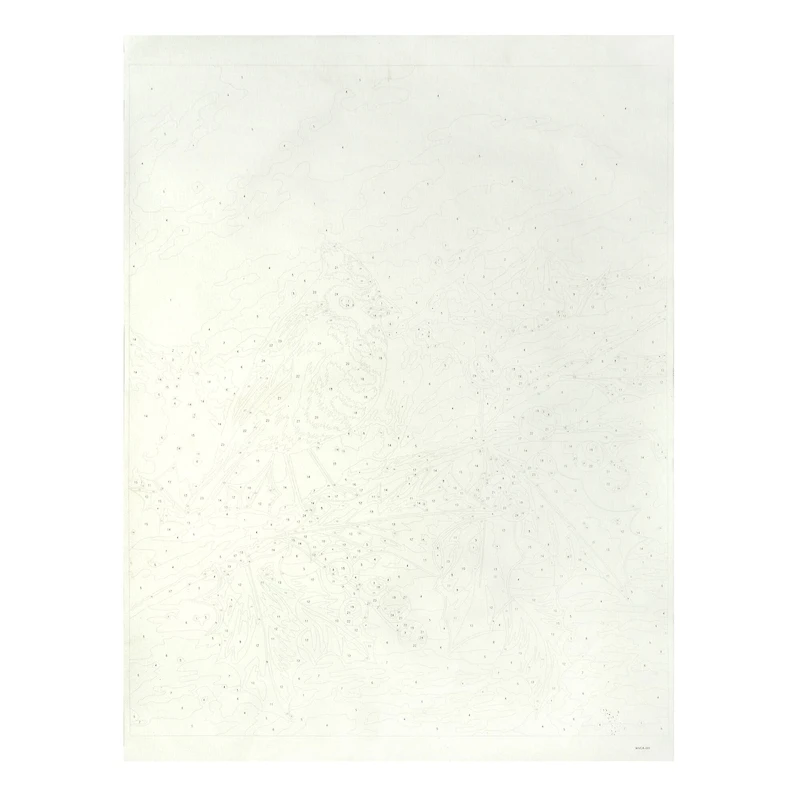 16" x 20" Cardinal with Holly Paint-by-Number Kit by Artist's Loft™