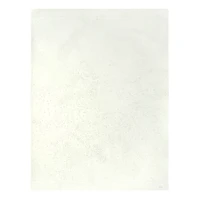 16" x 20" Cardinal with Holly Paint-by-Number Kit by Artist's Loft™