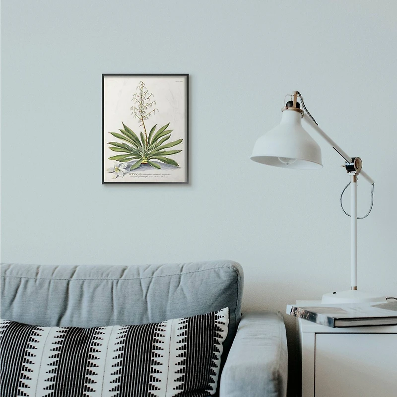 Stupell Industries Botanical Fern Illustration Wall Art in Black Frame