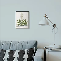 Stupell Industries Botanical Fern Illustration Wall Art in Black Frame